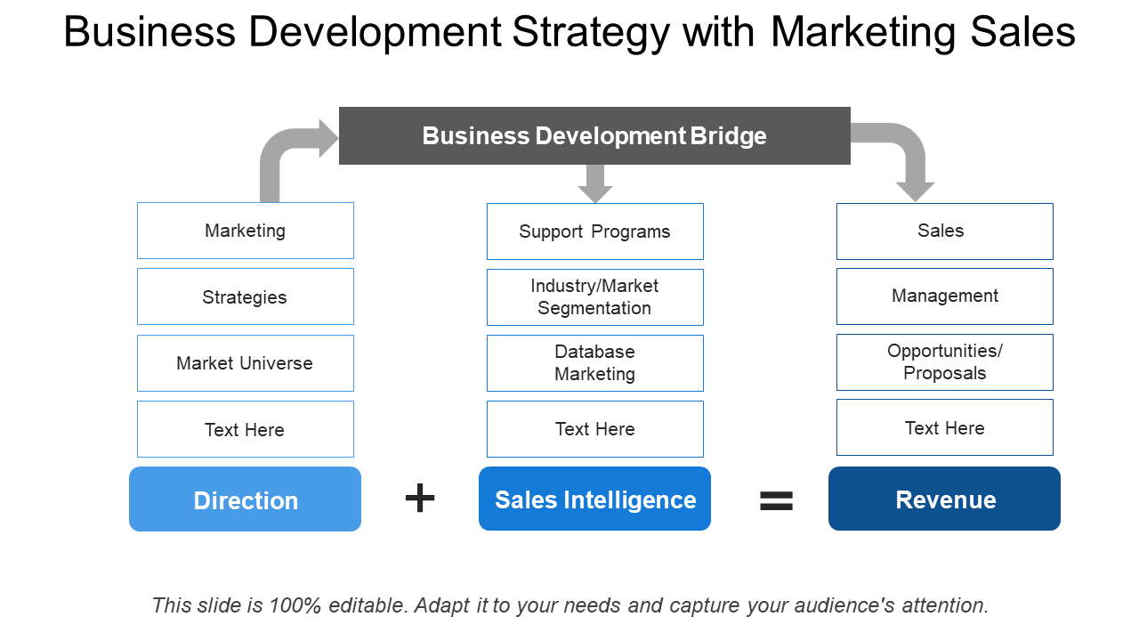 Business Development Strategy with Marketing Sales