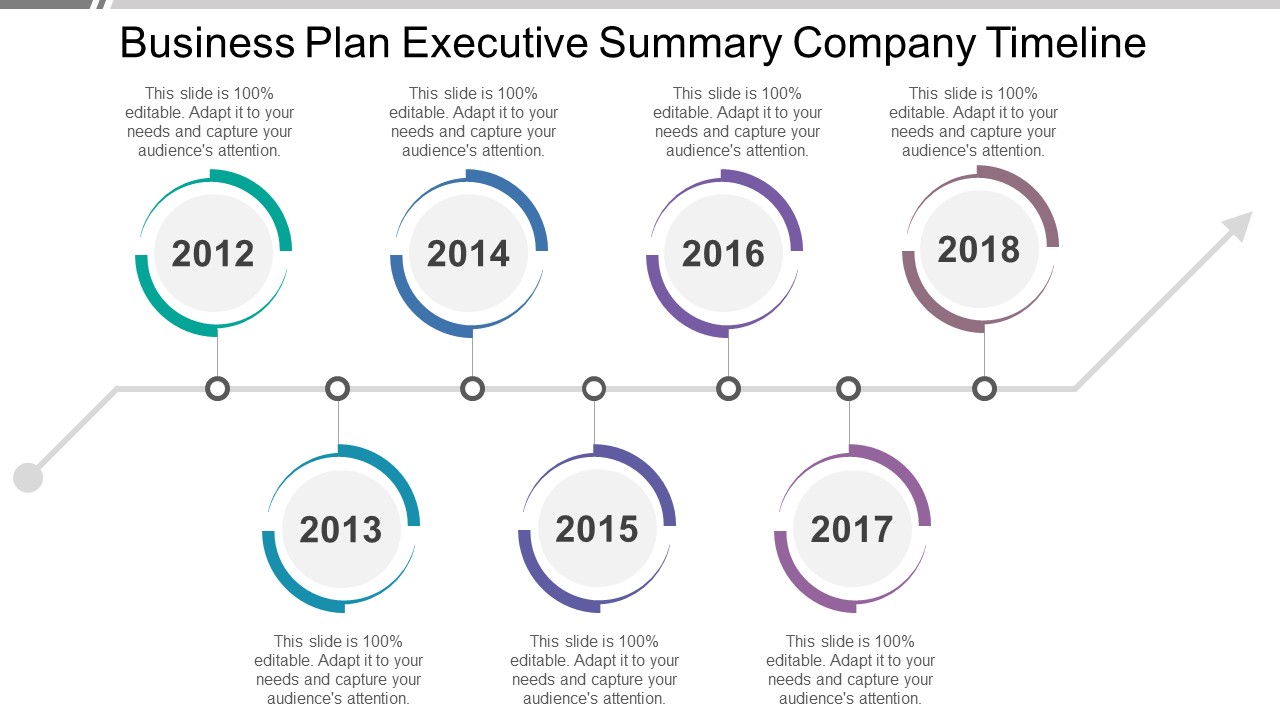 Business Plan Executive Summary Company Timeline