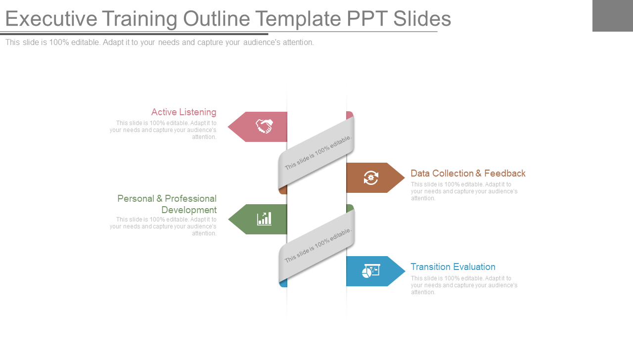 Executive Training Outline Template PPT Slides