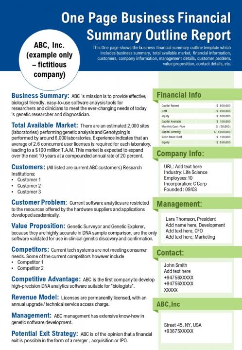 One Page Business Financial Summary Outline Report