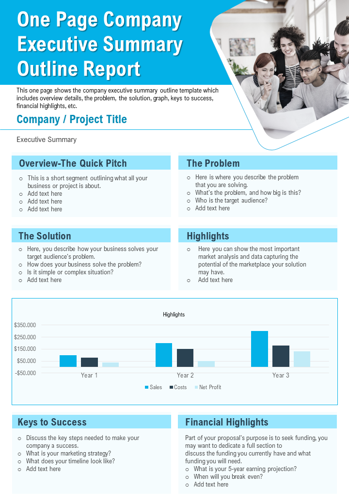 One Page Company Executive Summary Outline Report
