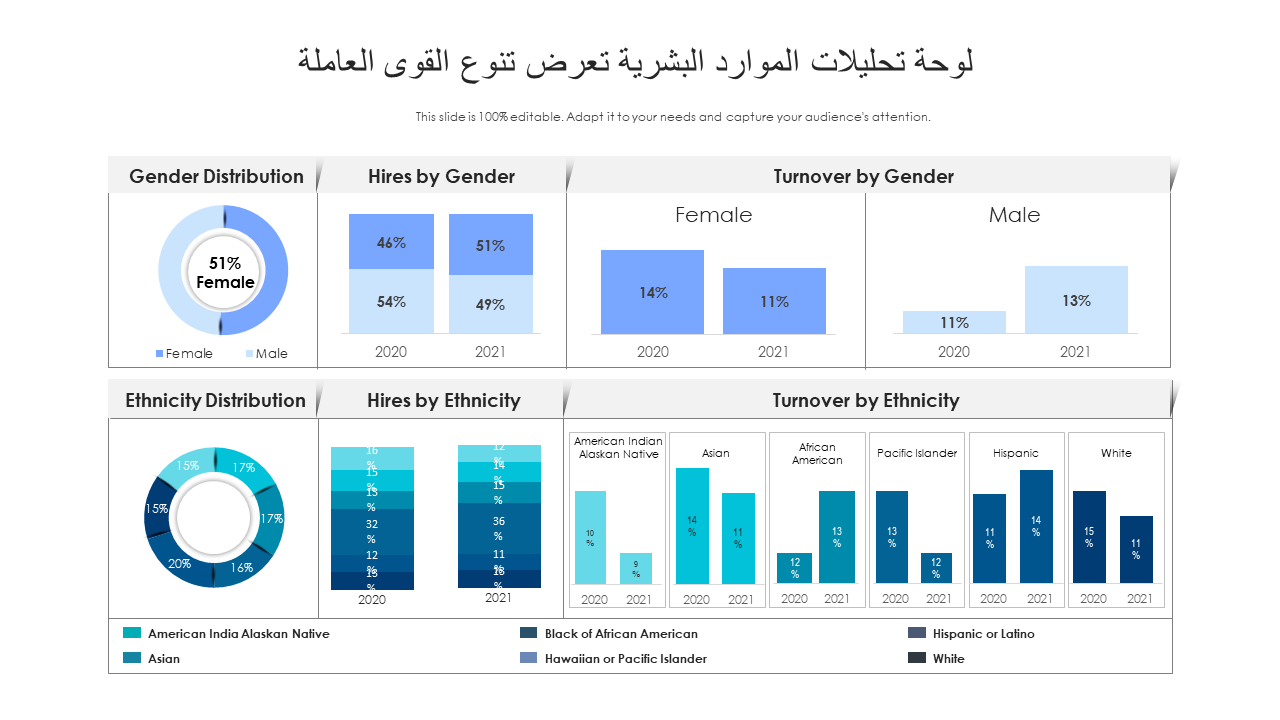 لوحة تحليلات الموارد البشرية تعرض تنوع القوى العاملة لوحة تحليلات الموارد البشرية تعرض تنوع القوى العاملة