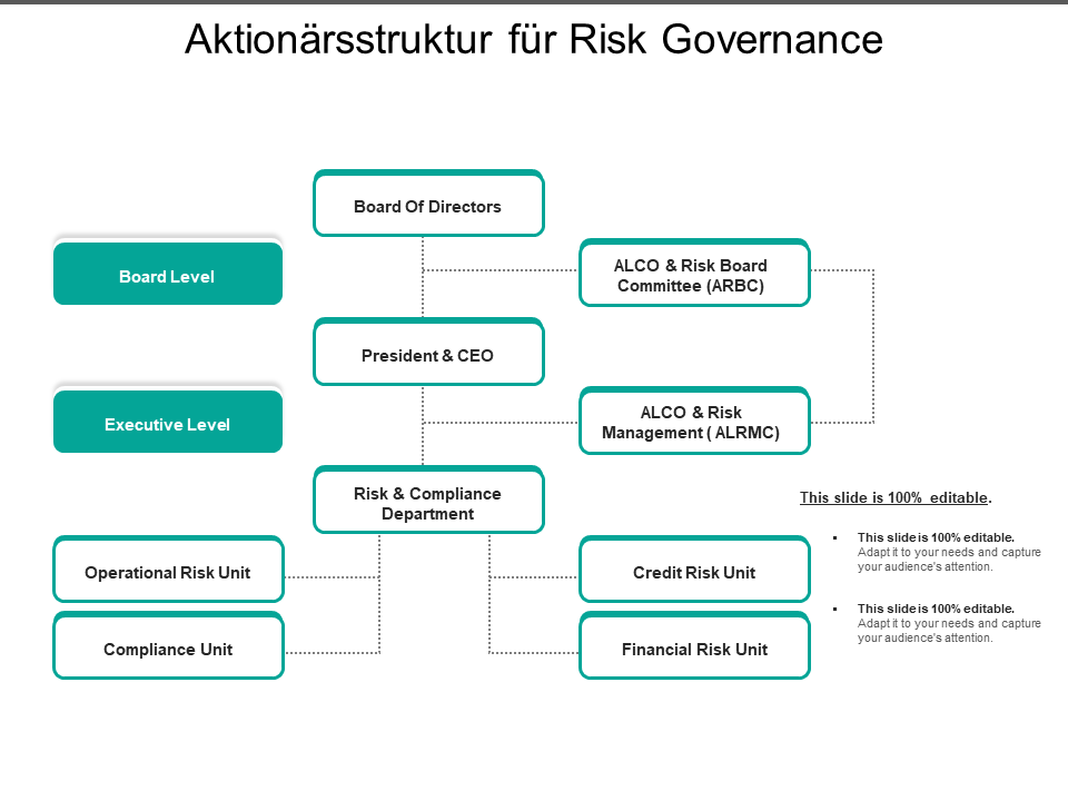 Aktionärsstruktur für Risk Governance