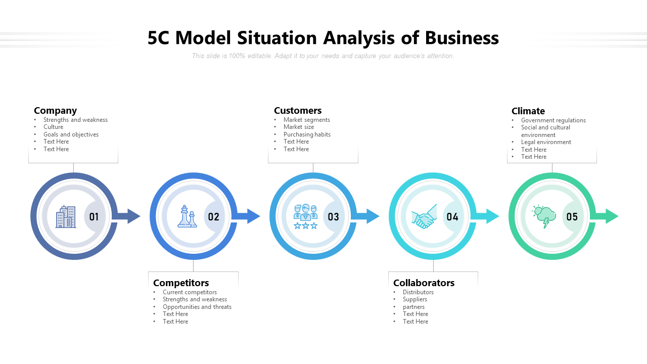 5C Model Situation Analysis of Business