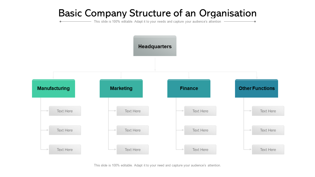 Basic Company Structure of an Organisation