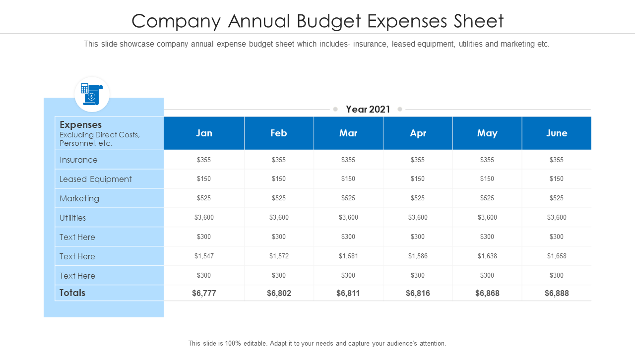 Company Annual Budget Expenses Sheet Template