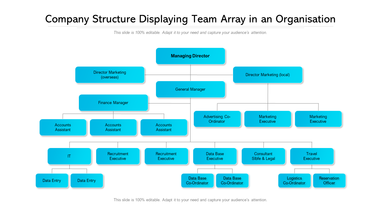 Company Structure Displaying Team Array in an Organisation