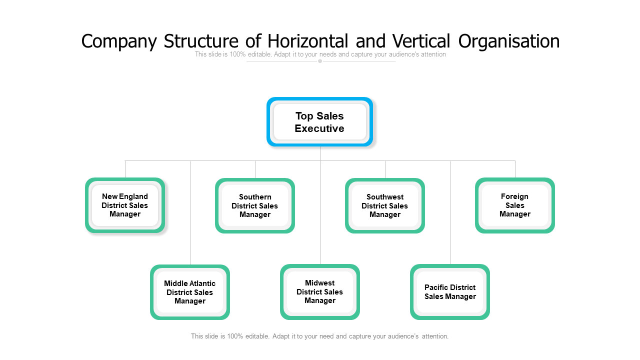 Company Structure of Horizontal and Vertical Organisation