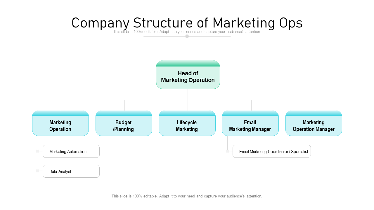 Company Structure of Marketing Ops