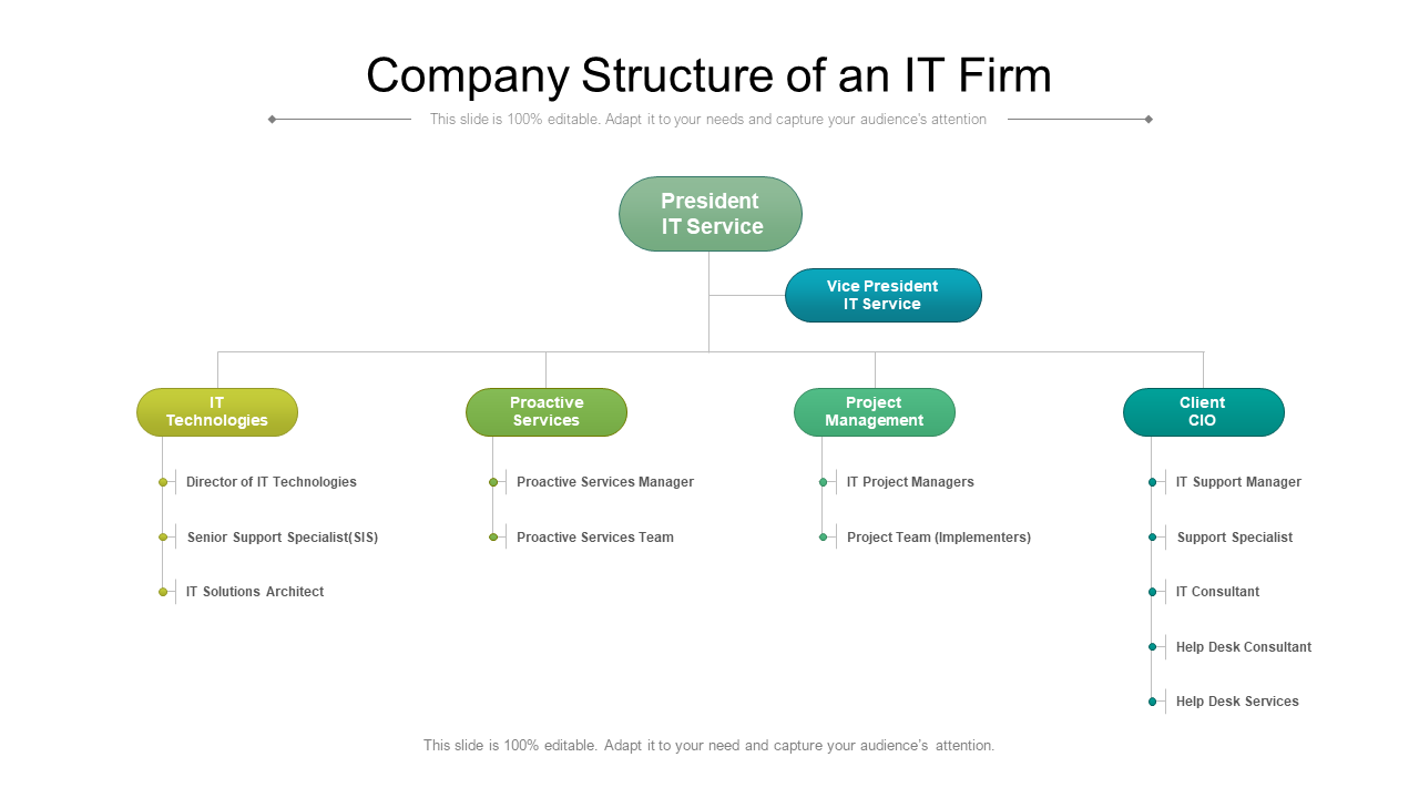 Company Structure of an IT Firm