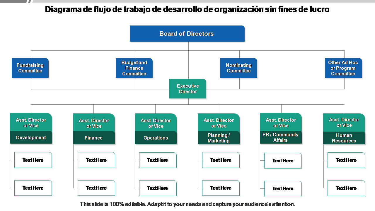 Diagrama de flujo de trabajo de desarrollo de organización sin fines de lucro