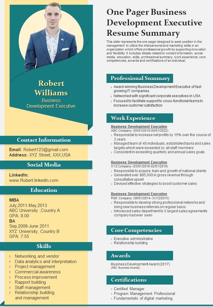 One Pager Business Development Executive Resume Summary Presentation Report Infographic Ppt Pdf Document