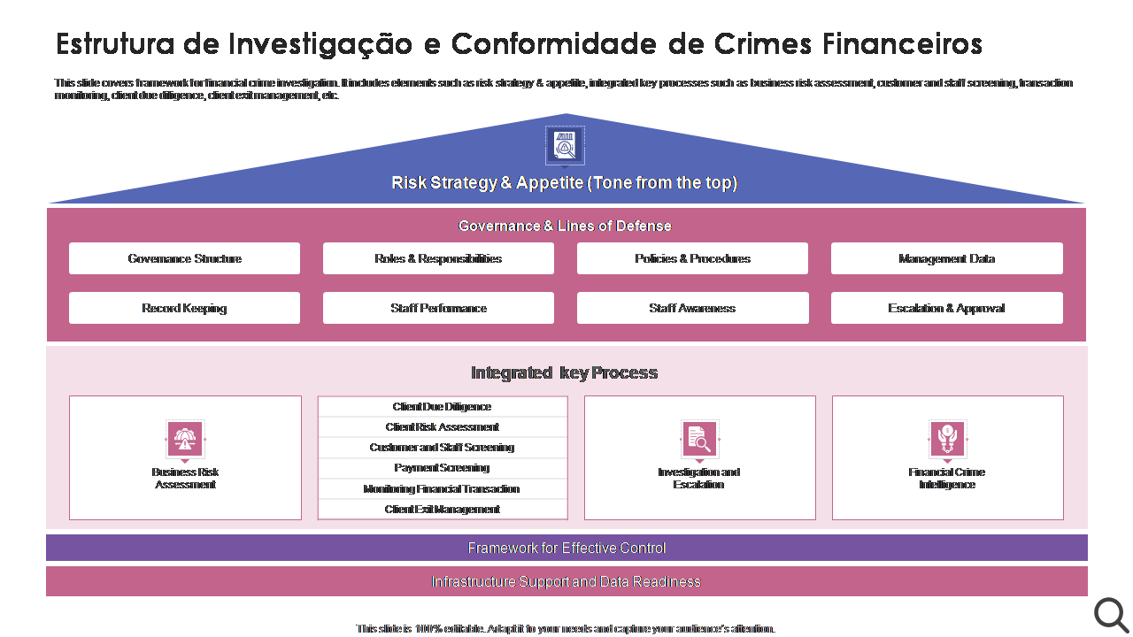 Estrutura de Investigação e Conformidade de Crimes Financeiros