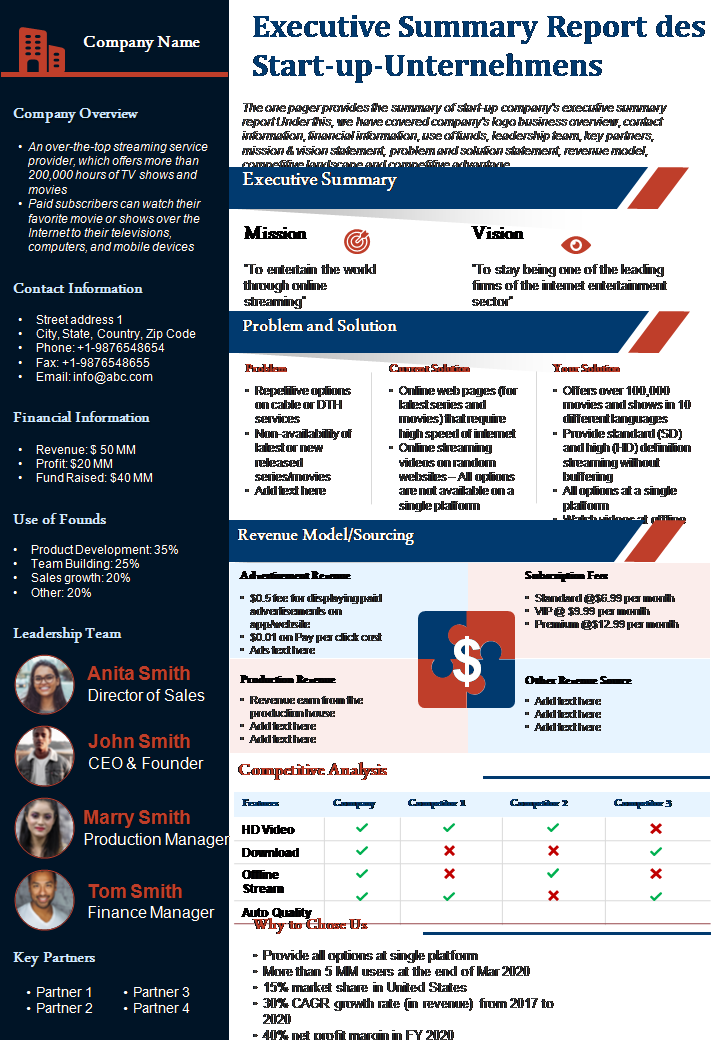 Executive Summary Report des Start-up-Unternehmens