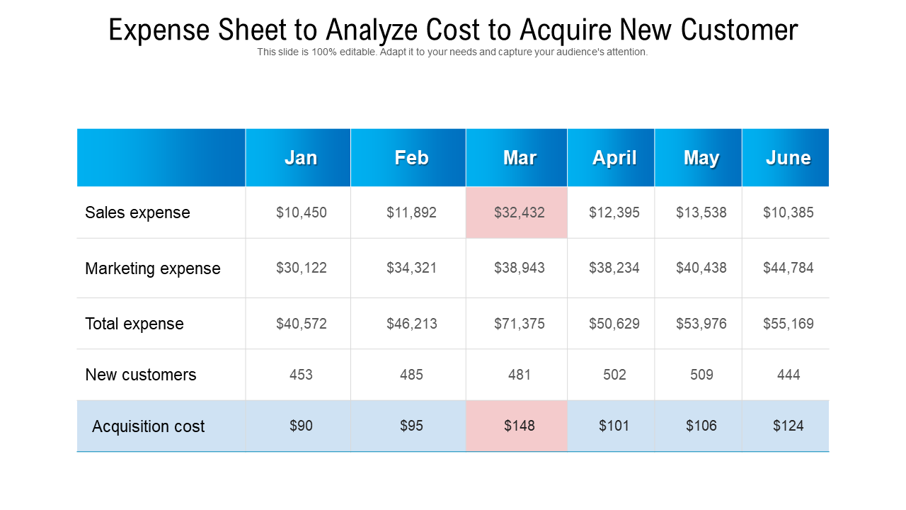 Expense Sheet to Analyze Customer Acquisition Cost