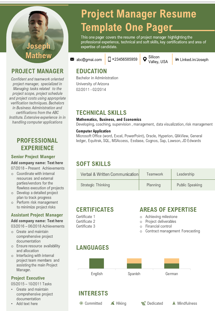 Project Manager Resume Template One Pager