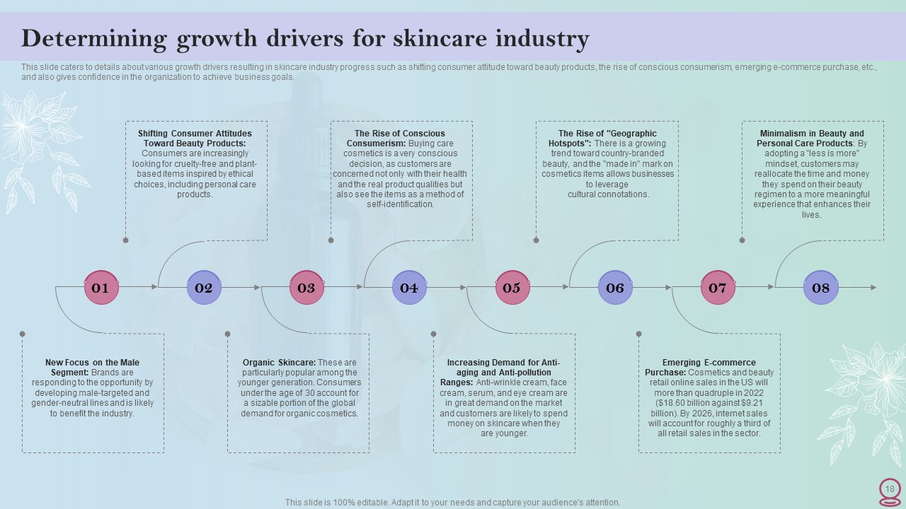 Skincare Industry Business Plan Template