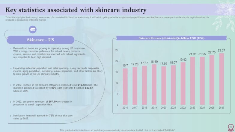 Skincare Industry Business Plan Presentation