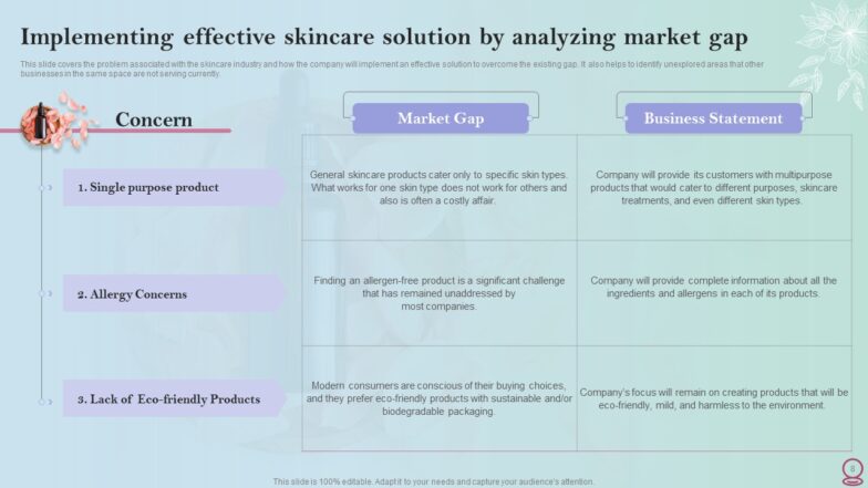 Skincare Industry Business Plan PPT