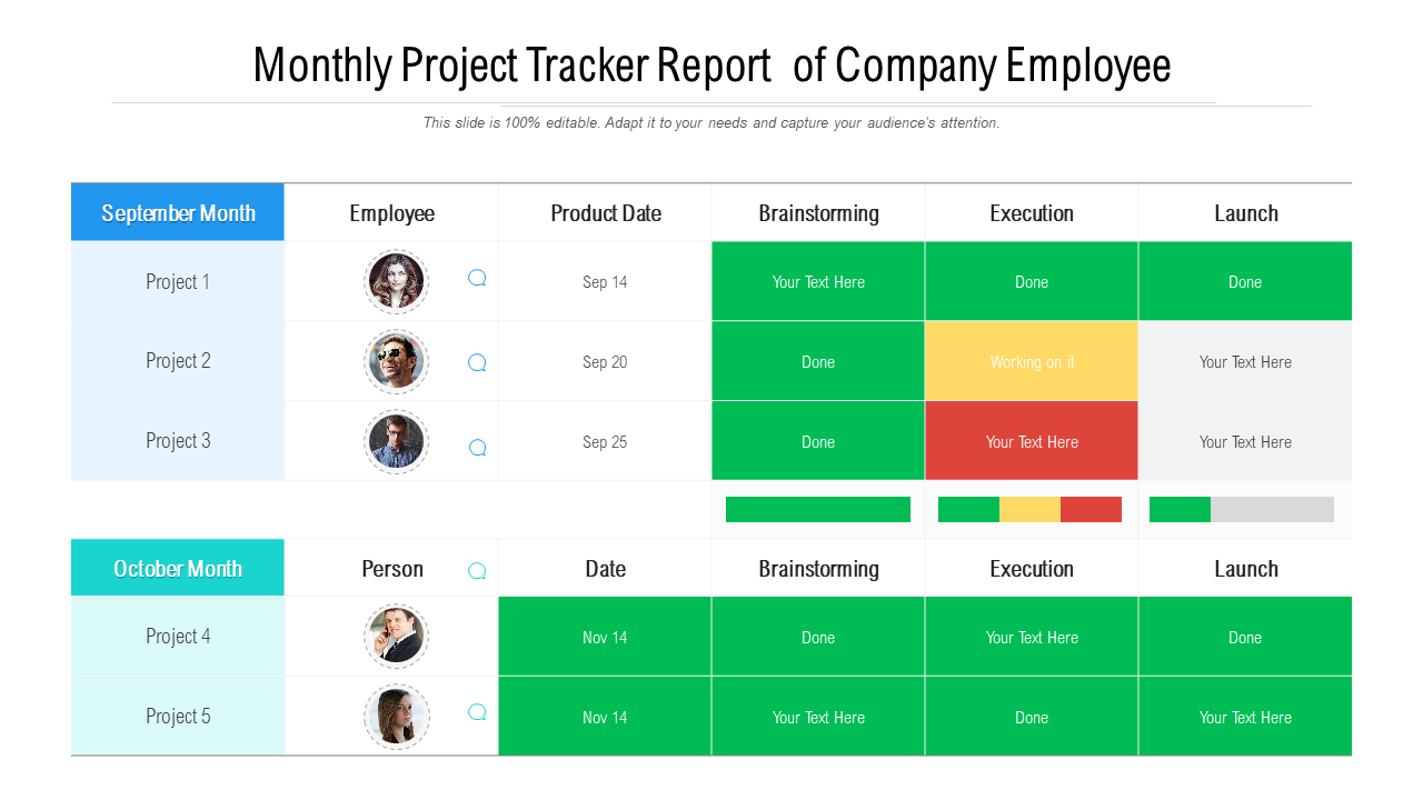 Monthly Project Tracker Report of Company Employee