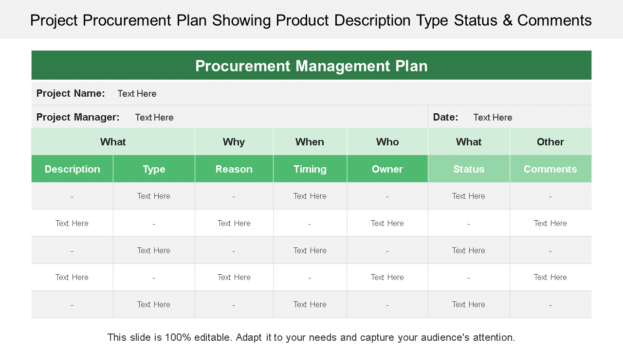 Project Procurement Plan Showing Product Description Type Status & Comments 
