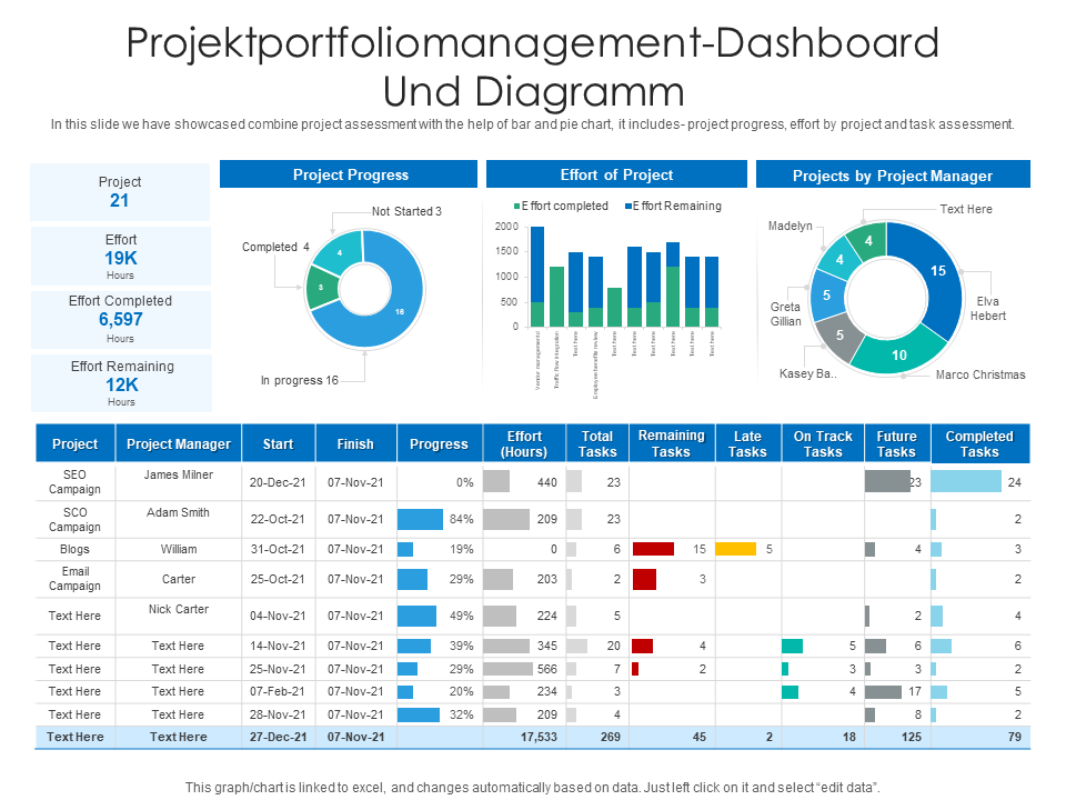 Projektportfoliomanagement-Dashboard und Diagramm