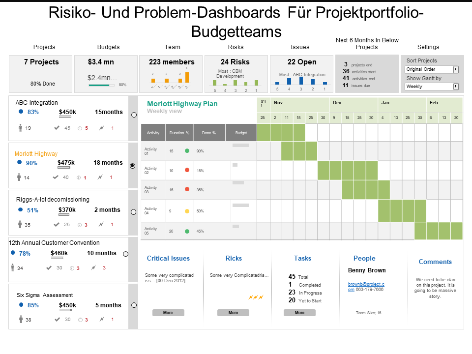 Risiko- und Problem-Dashboards für Projektportfolio-Budgetteams