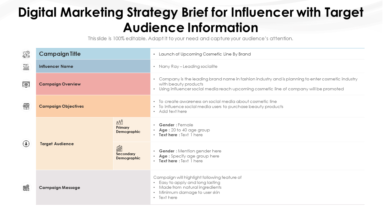 Digital Marketing Strategy Brief for Influencer with Target Audience Information