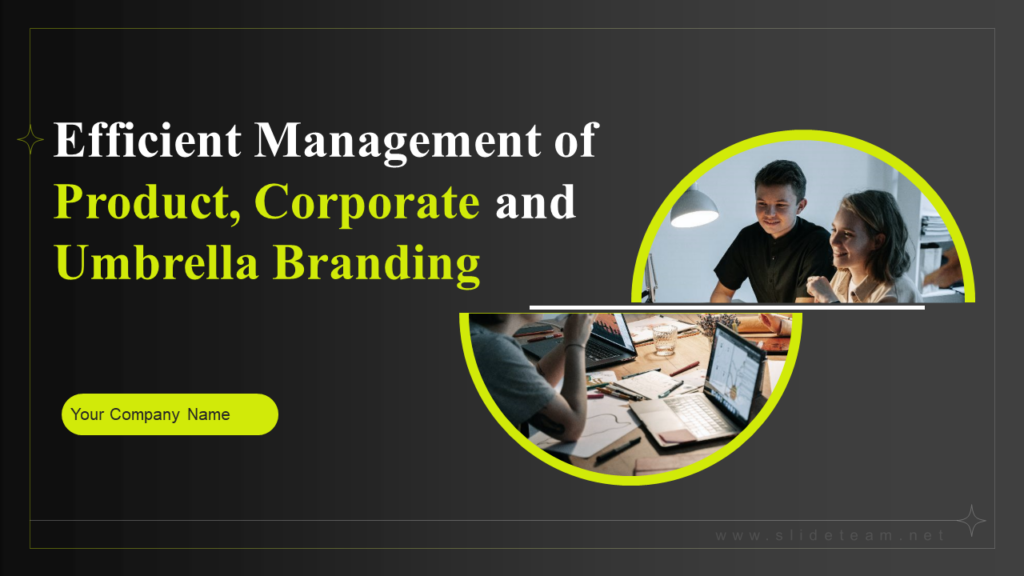 Efficient Management of Product, Corporate, and Umbrella Branding