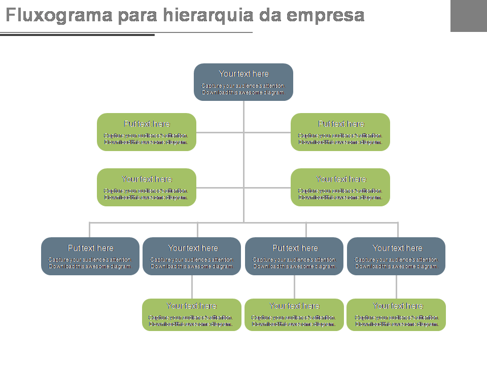 Fluxograma para hierarquia da empresa