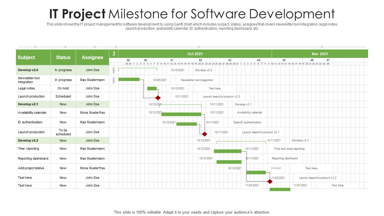 IT Project Milestone for Software Development