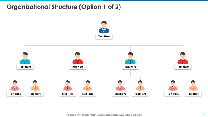 Organizational Structure Template for Stock Pitch