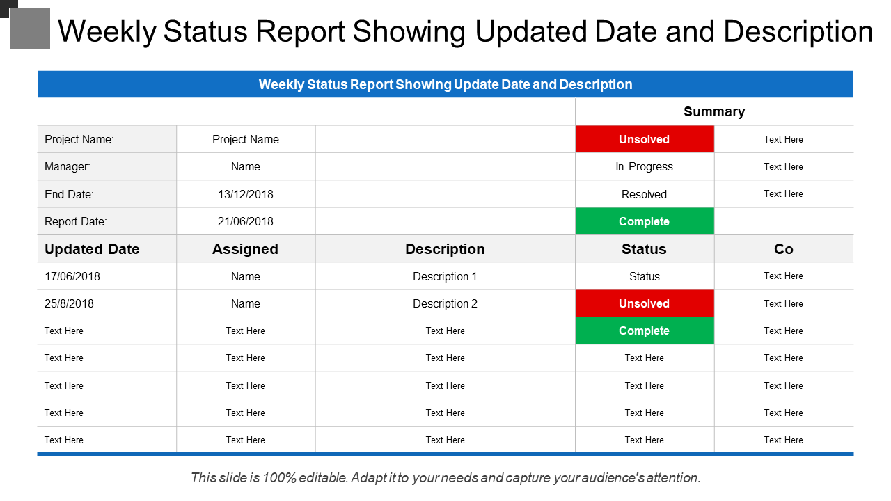 Weekly Status Report Showing Updated Date and Description
