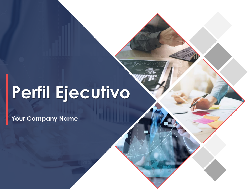 Perfil Ejecutivo Perfil Ejecutivo