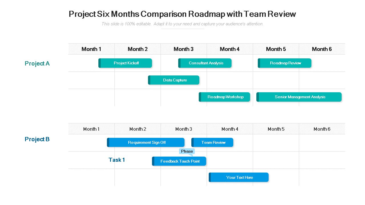 Project Six Months Comparison Roadmap with Team Review 