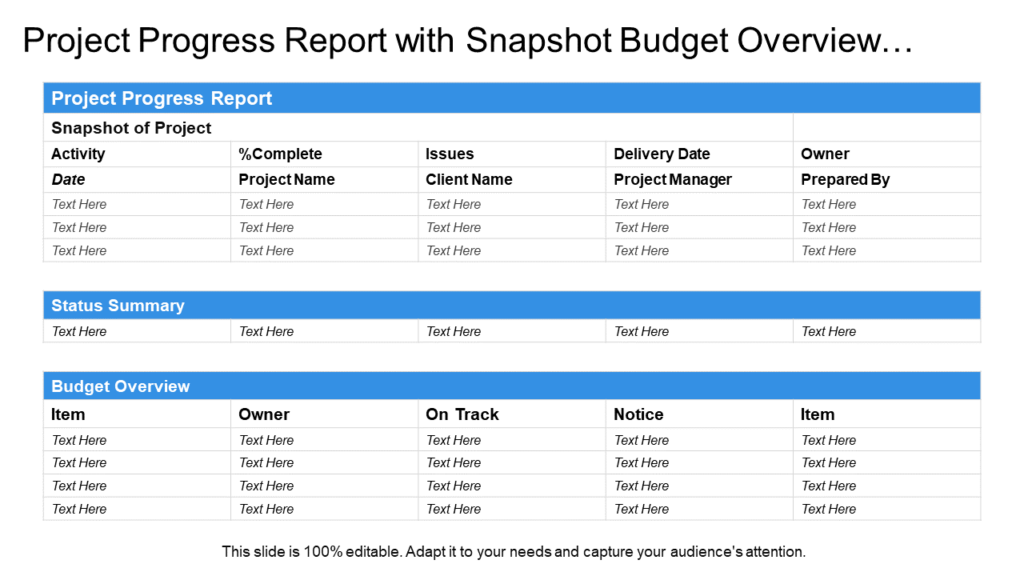 Project Progress Report with Budget Template