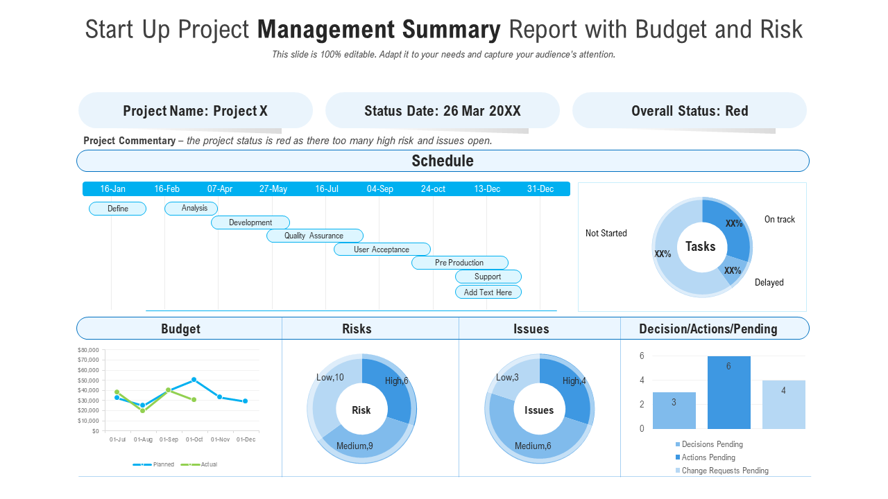 Startup Project Management Summary Report Template