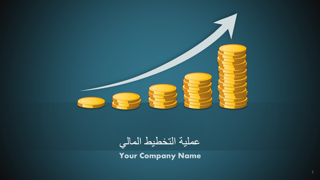 عملية التخطيط المالي عملية التخطيط المالي