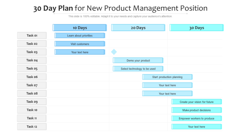 30 day plan for new product management position