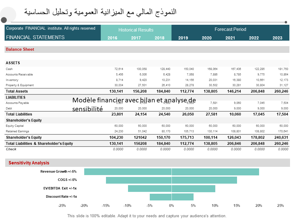 النموذج المالي مع الميزانية العمومية وتحليل الحساسية النموذج المالي مع الميزانية العمومية وتحليل الحساسية