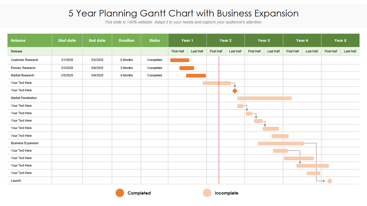 5 Year Planning Gantt Chart with Business Expansion 