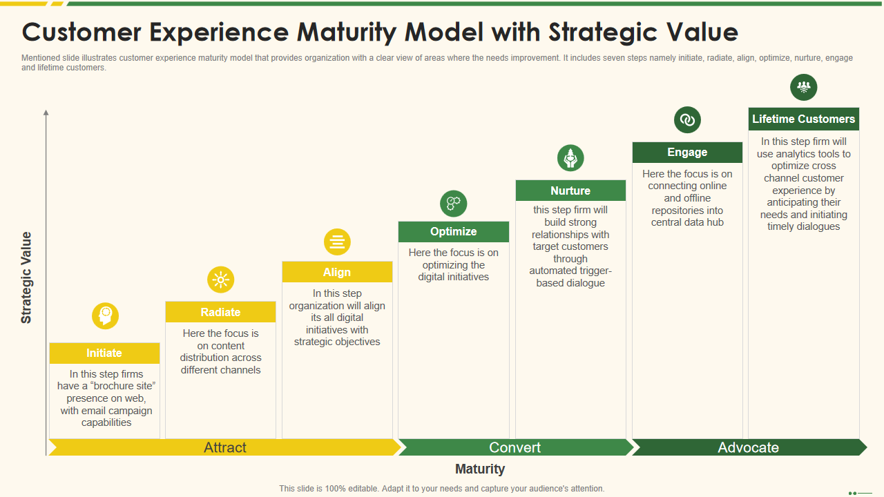 Customer Experience Maturity Model with Strategic Value 