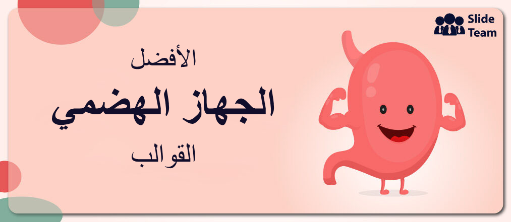 النظام الهضمي في 17 قالب بوربوينت [مرفق PDF مجاني]