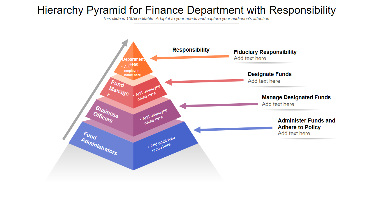 Hierarchy Pyramid for Finance Department with Responsibility