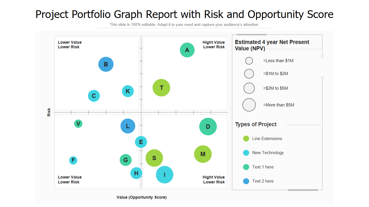 Project Portfolio Graph Report with Risk and Opportunity Score