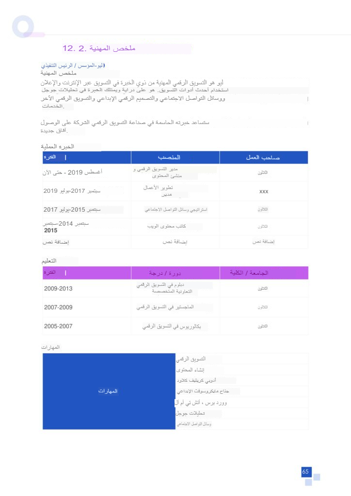 ملخص الإدارة واستراتيجية الخروج