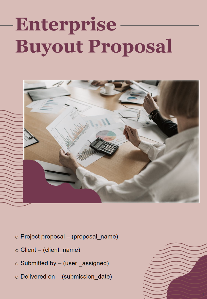 Enterprise Buyout Proposal