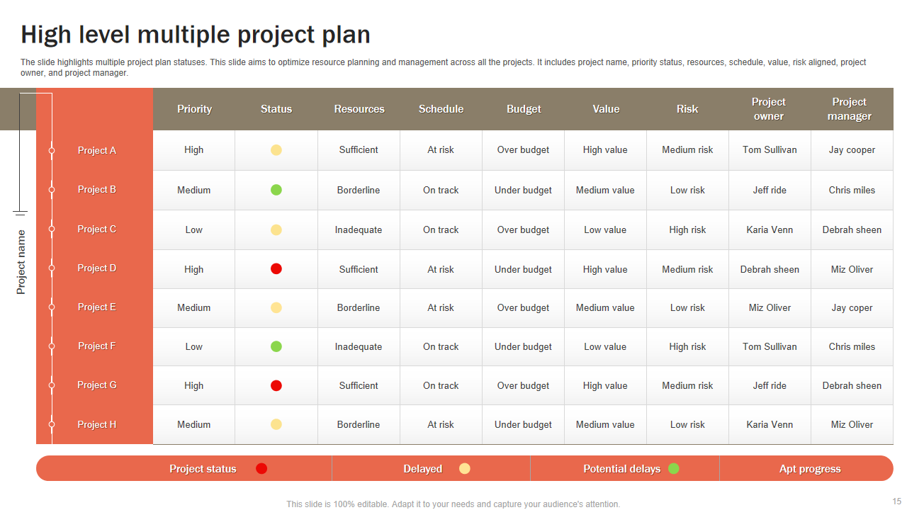 High level multiple project plan