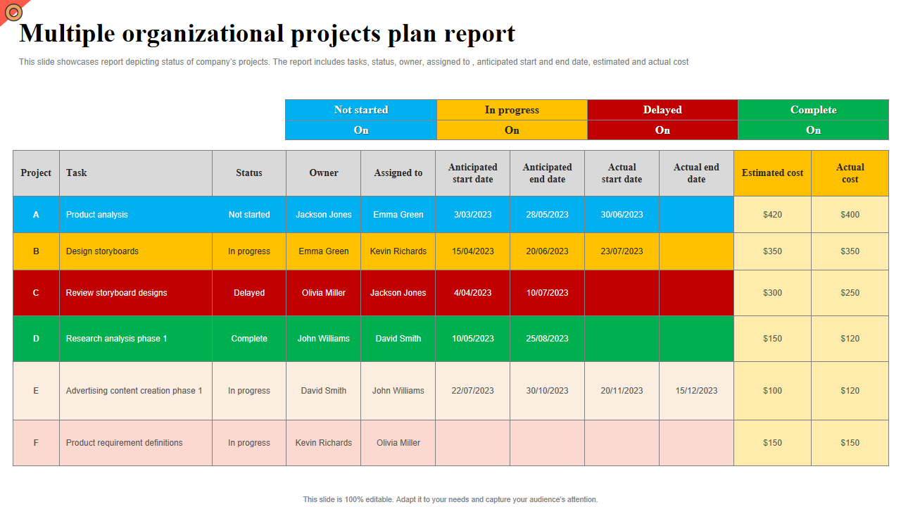 Multiple organizational projects plan report