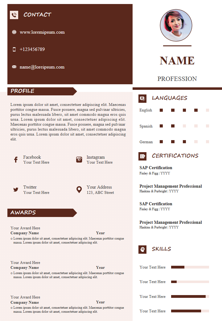 Professional Personal Summary CV Resume Template